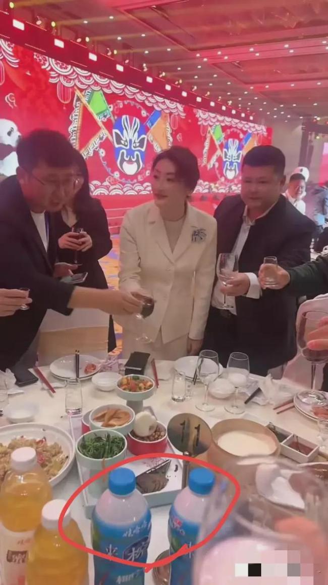 宗馥莉现身商会，独自撑起场面挨桌敬酒，大气又谦逊，有父亲风范 展现传承决心