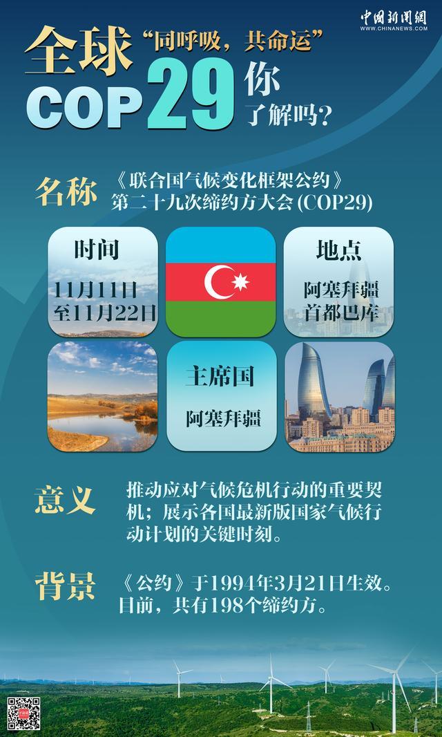 COP29与中国的绿色行动