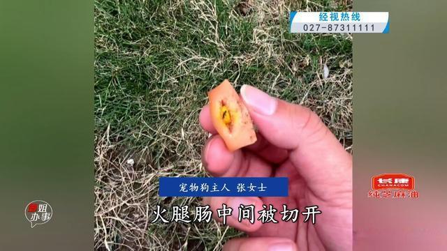 草坪放藏药火腿肠6条狗中招 宠物主人痛心报警