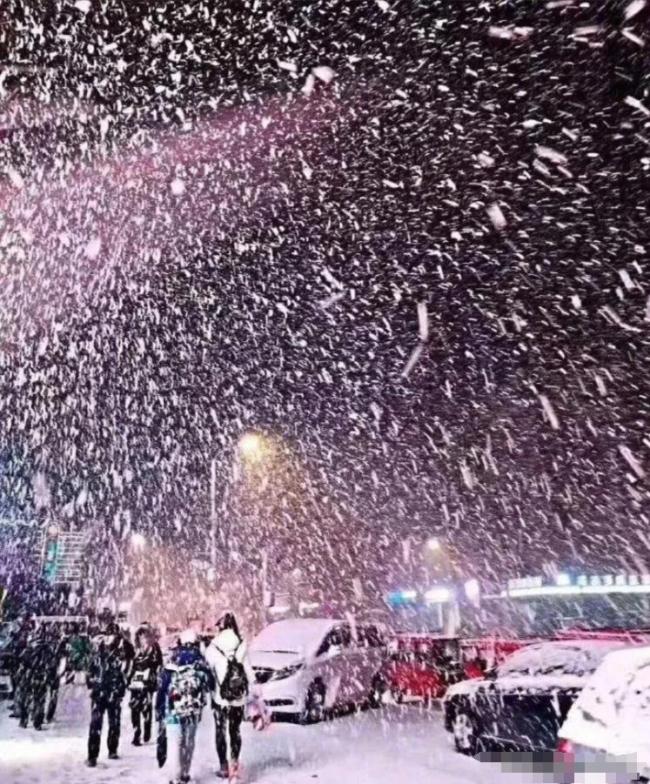 哈尔滨雪中灯光秀的震撼瞬间 雪夜之美与内心对话