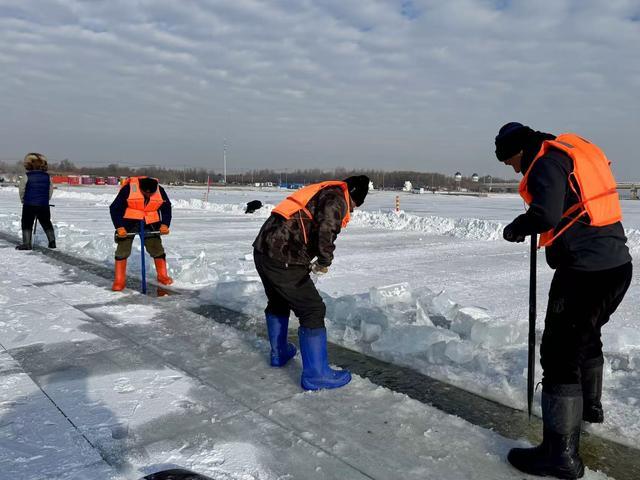 哈尔滨松花江上采冰作业开展 冰雪景观建设加速