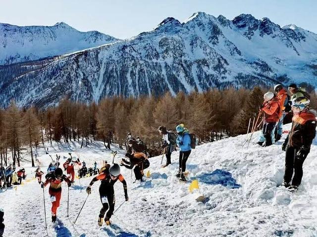 中国滑雪登山队！5人参赛揽7金 米兰冬奥有望创历史