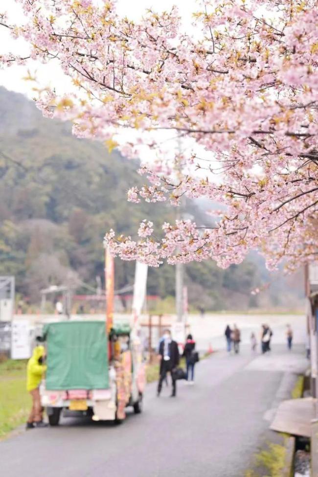 日本成了江浙沪打工人后花园，周五飞去泡汤，周一凌晨返工