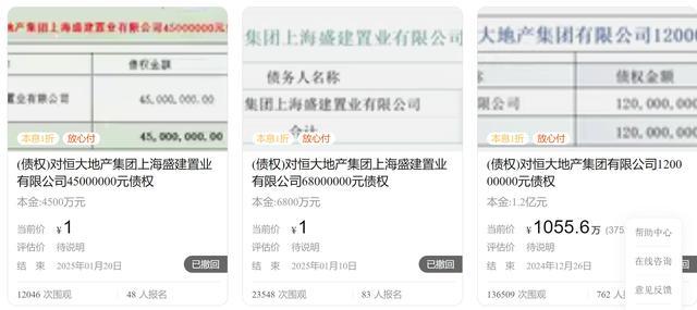 恒大1.2亿元债权拍卖被撤回 信息有误导致撤拍